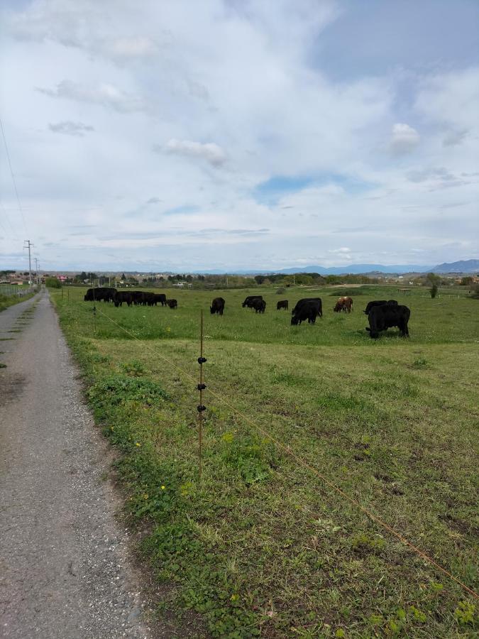 Rod Ranch Livestock - Appartamento Con Camino E Vista Piscina Campagnano Di Roma Εξωτερικό φωτογραφία