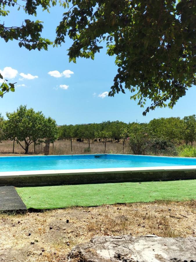 Rod Ranch Livestock - Appartamento Con Camino E Vista Piscina Campagnano Di Roma Εξωτερικό φωτογραφία