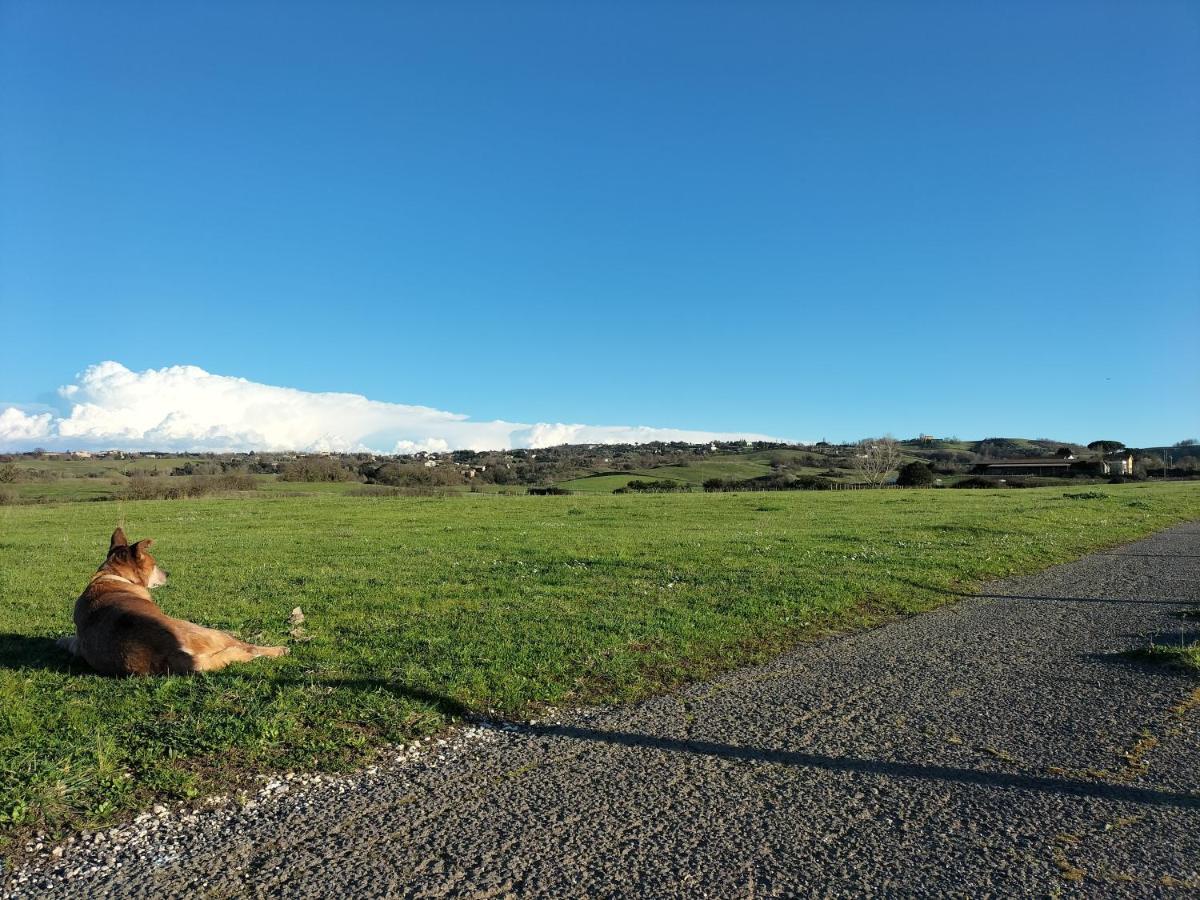 Rod Ranch Livestock - Appartamento Con Camino E Vista Piscina Campagnano Di Roma Εξωτερικό φωτογραφία